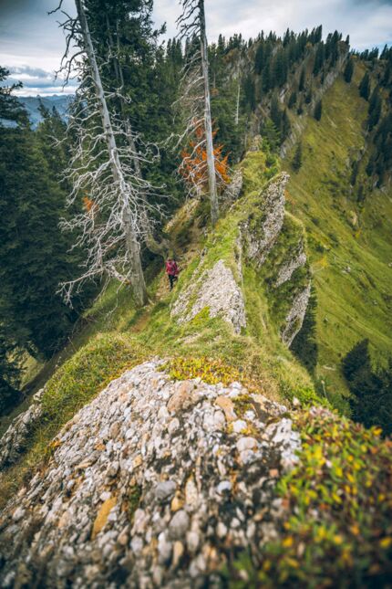 Allgäu - Nagelfluhkette