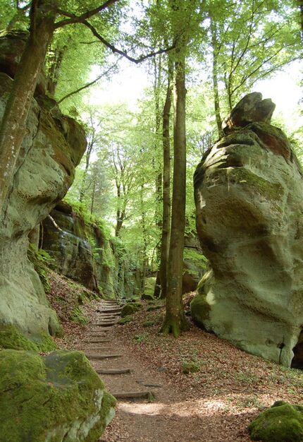 OD 0611 Trail und Touren Ann16_Luxemburgische_Schweiz_Labyrinth_im_Muellertal (jpg)